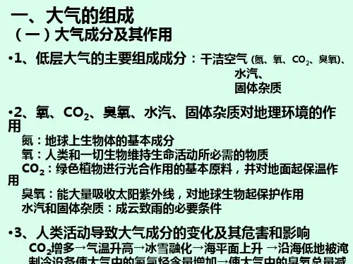 大气的组成(精)PPT课件