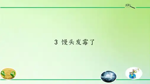 六年级科学上册教学课件-1.3 馒头发霉了2-苏教版