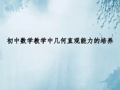 初中数学几何《直观培养》