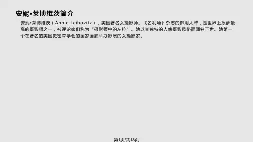 我最欣赏的摄影家——安妮莱博维茨PPT课件