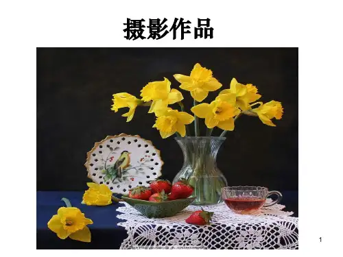 小学五年级美术完整《静物写生》ppt课件