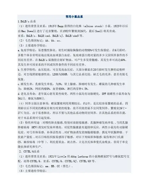 免疫常用小鼠