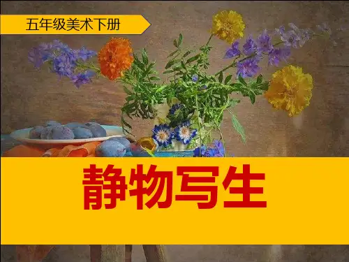 《静物写生》PPT优质课件