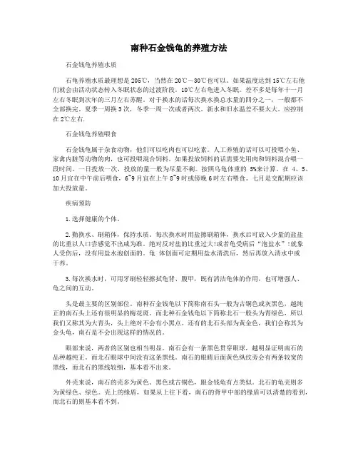 南种石金钱龟的养殖方法