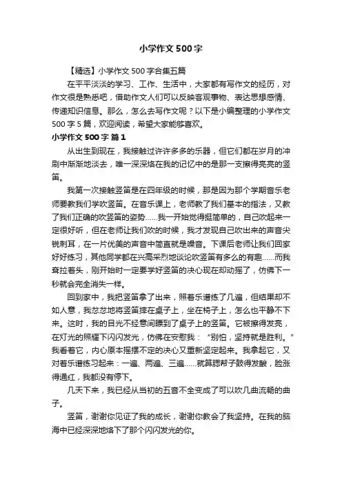 【精选】小学作文500字合集五篇