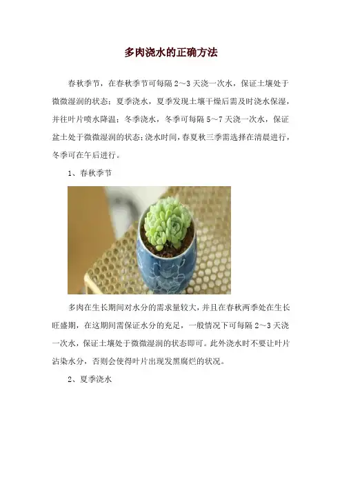 多肉浇水的正确方法