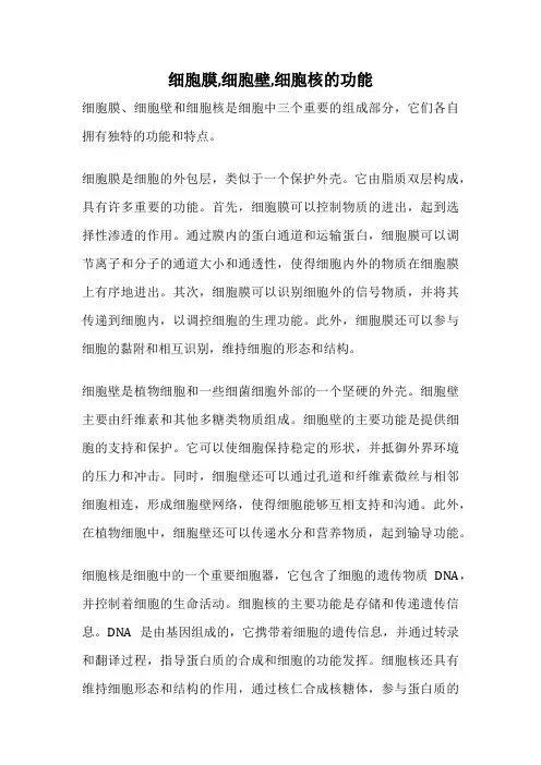 细胞膜,细胞壁,细胞核的功能