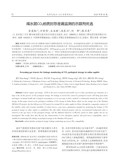 咸水层CO2地质封存泄漏监测的示踪剂优选