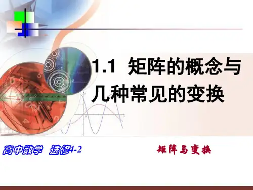 课时矩阵的概念与几种常见的变换PPT