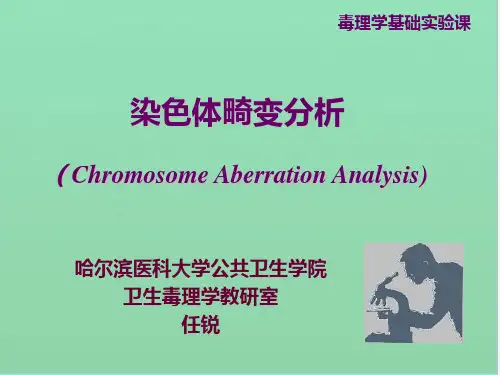 染色体畸变分析
