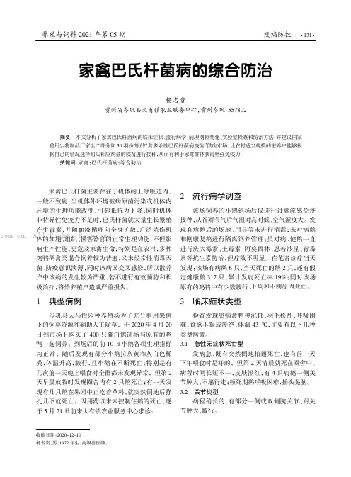 家禽巴氏杆菌病的综合防治