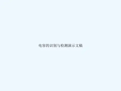 电容的识别与检测演示文稿