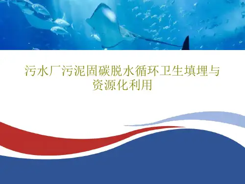 污水厂污泥固碳脱水循环卫生填埋与资源化利用48页PPT