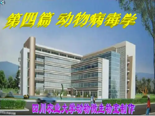第四篇 动物病毒学第五版