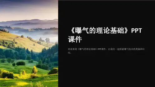 《曝气的理论基础》课件