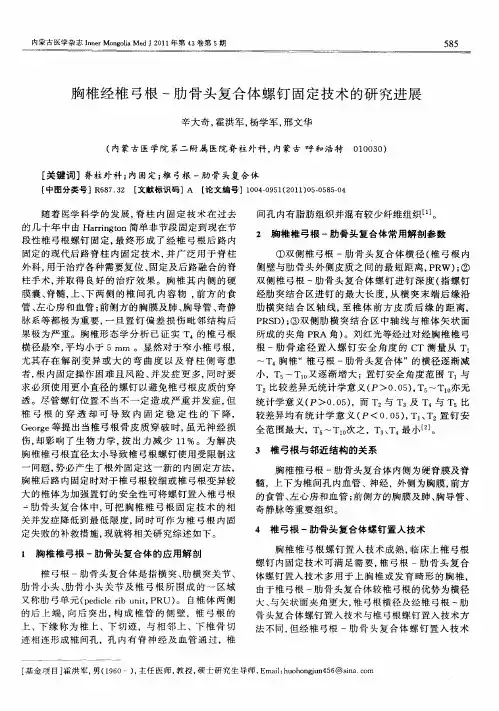胸椎经椎弓根-肋骨头复合体螺钉固定技术的研究进展