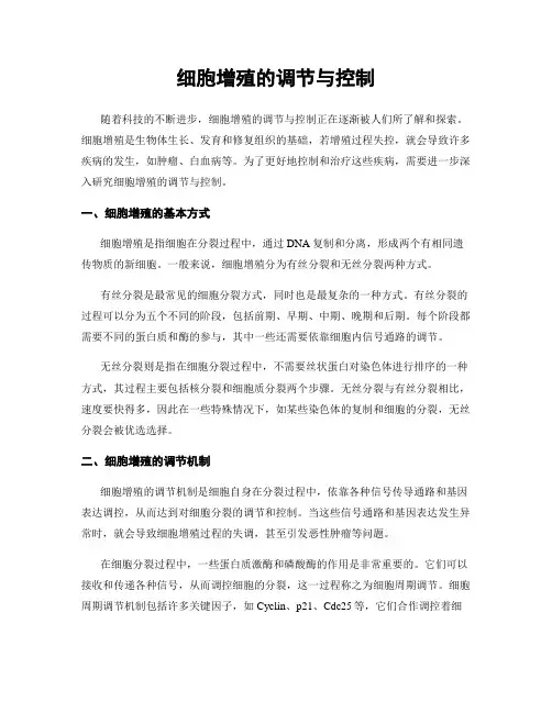 细胞增殖的调节与控制