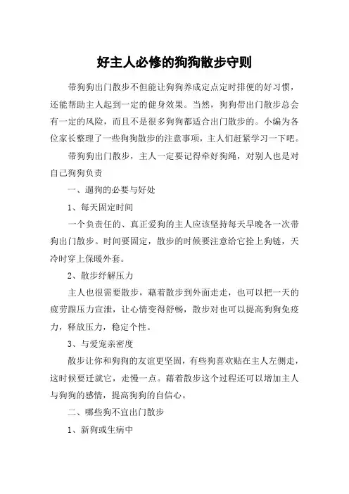 好主人必修的狗狗散步守则