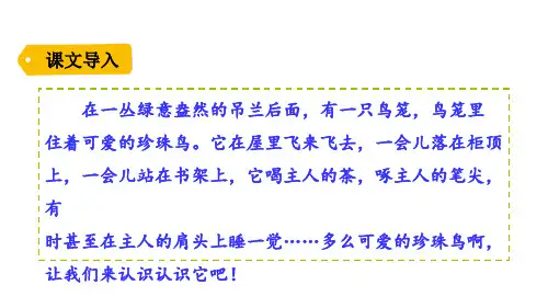 五年级上册语文课件-4.珍珠鸟-人教部编版
