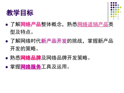 网络产品策略