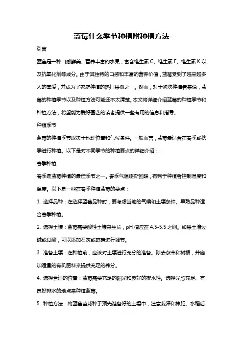 蓝莓什么季节种植附种植方法