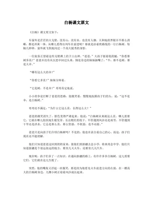 白杨课文原文