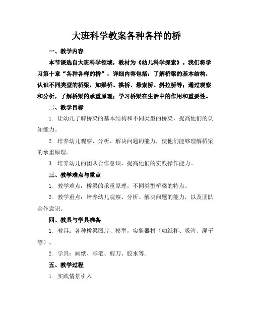 大班科学教案各种各样的桥
