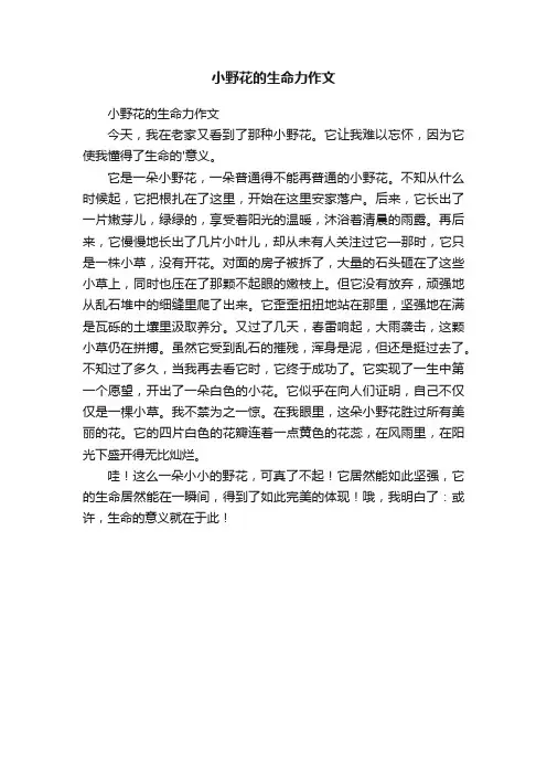 小野花的生命力作文