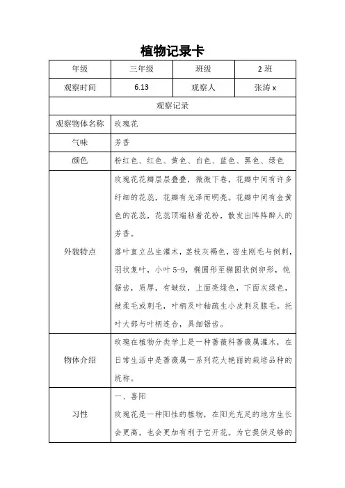 植物记录卡三年级下册 玫瑰花
