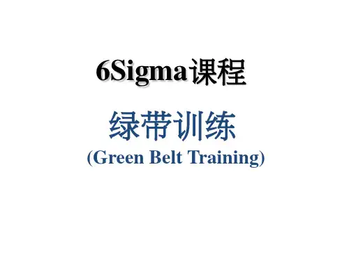 六西格玛绿带训练
