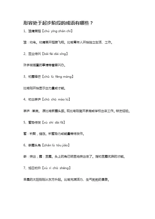 形容处于起步阶段的成语