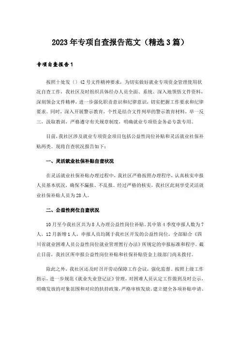 2023年专项自查报告范文(精选3篇)