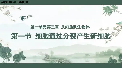 细胞通过分裂产生新细胞ppt课件