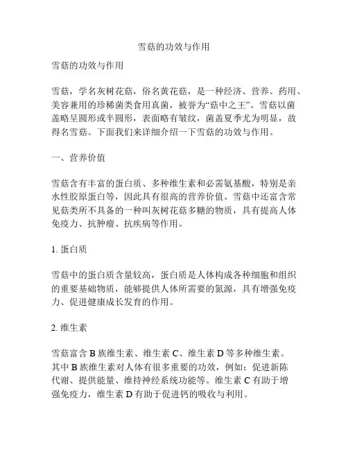 雪菇的功效与作用