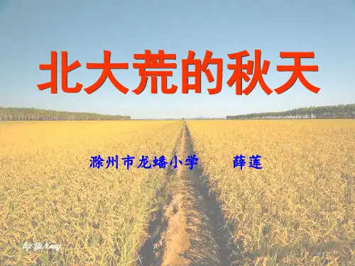 北大荒的秋天1课件.ppt