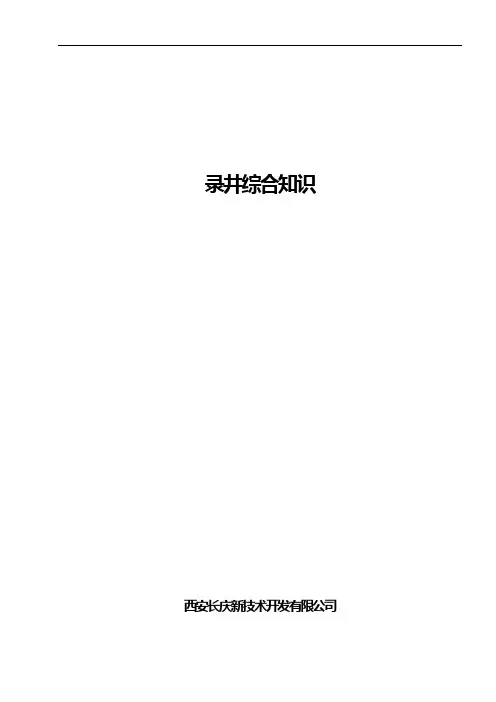 鄂尔多斯盆地层特征-定边