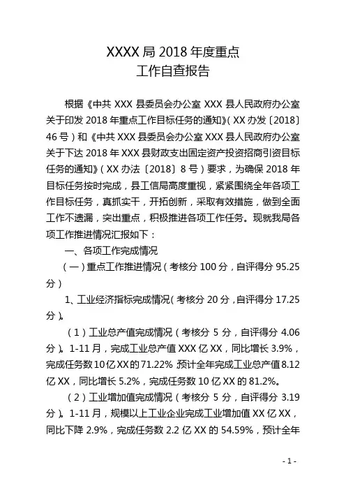 2018年度县级重点工作自查报告0021