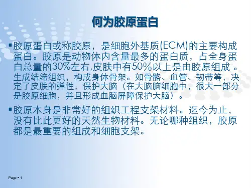 胶原蛋白海绵幻灯专业教育