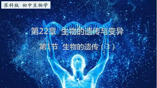 22.1 生物的遗传(第三课时)(课件)八年级生物下册课件(苏科版)