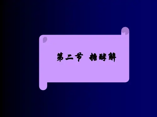 南京农业大学考研-生物化学复习课件-糖酵解