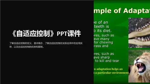 《自适应控制》课件