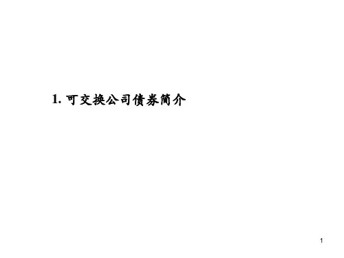 可交换公司债券业务介绍教学文稿