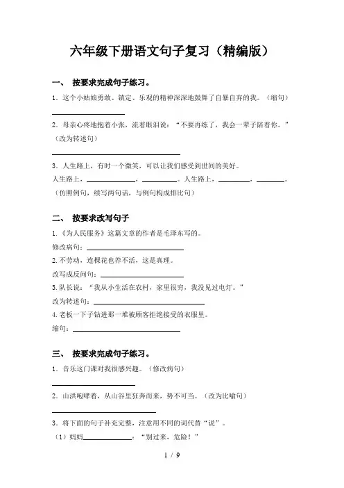 六年级下册语文句子复习(精编版)
