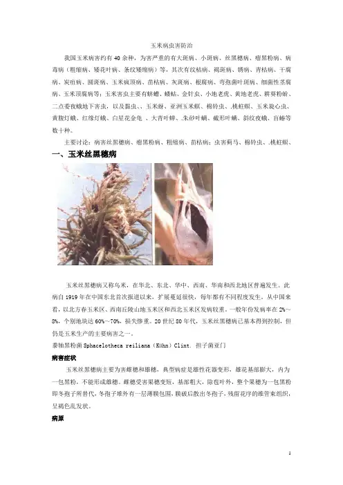 玉米病虫害防治