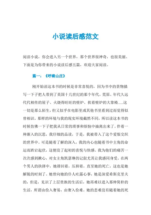 小说读后感范文