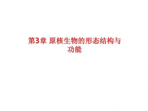 [课件]第3章 原核生物的形态结构与功能PPT