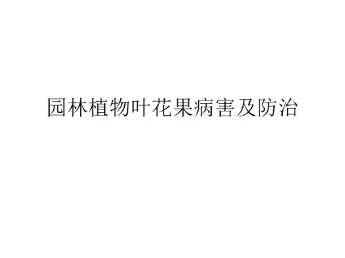 园林植物叶花果病害及防治