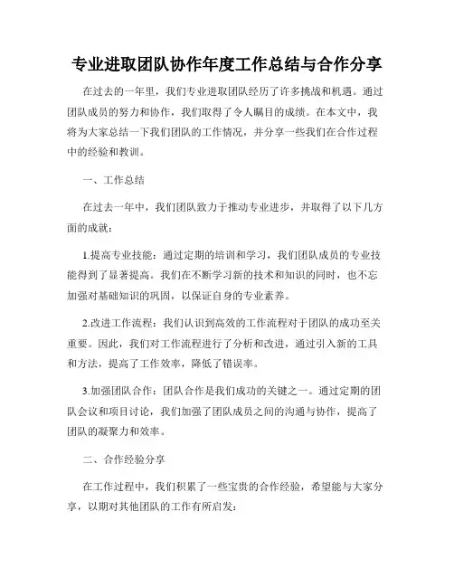 专业进取团队协作年度工作总结与合作分享
