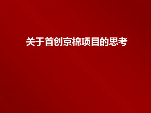 首创京棉项目推广策略