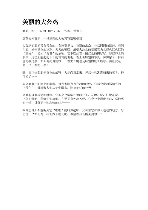 美丽的大公鸡